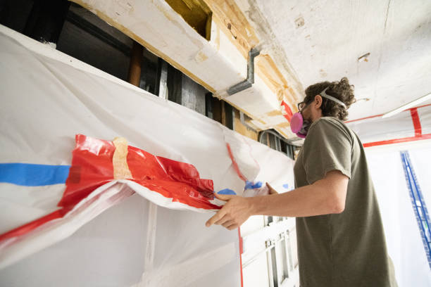 Best Attic Mold Removal  in Windsor, CO