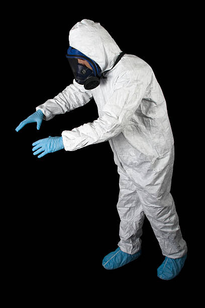 Best Mold Prevention Services  in Windsor, CO