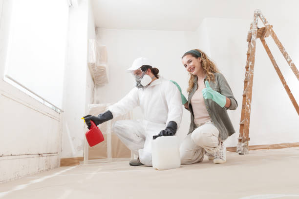 Mold Remediation for Rental Properties in Windsor, CO