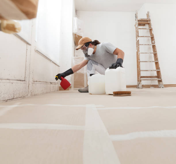 Best Industrial Mold Remediation  in Windsor, CO